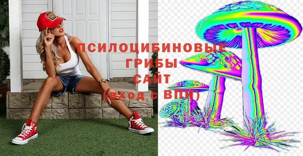 мдпв Вязьма