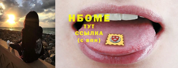 прущий лед Вяземский