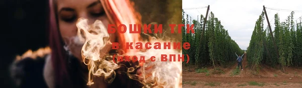 мдпв Вязьма