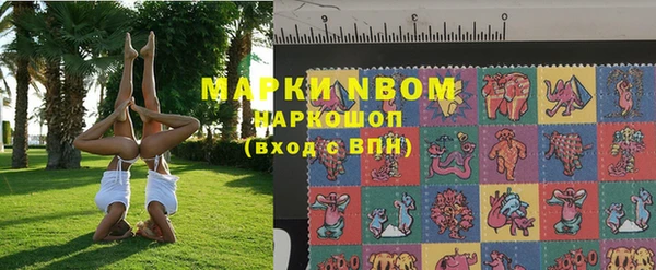 прущий лед Вяземский