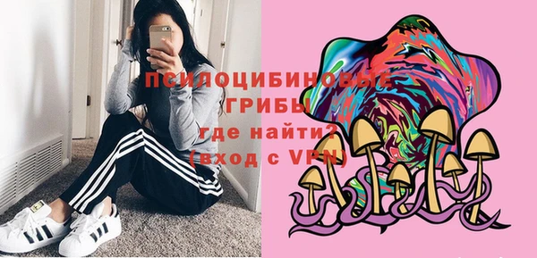 прущий лед Вяземский