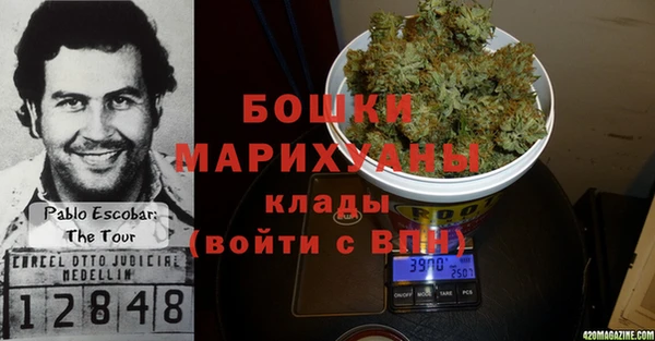 мдпв Вязьма