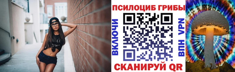 Галлюциногенные грибы Psilocybe Кстово
